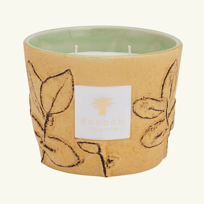 baobab collection folia garrigue candle max 10