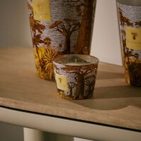 شمعة باوباب سيكرد تريز كوكودي ماكس 16 شمعة باوباب سيكرد تريز كوكودي ماكس 16