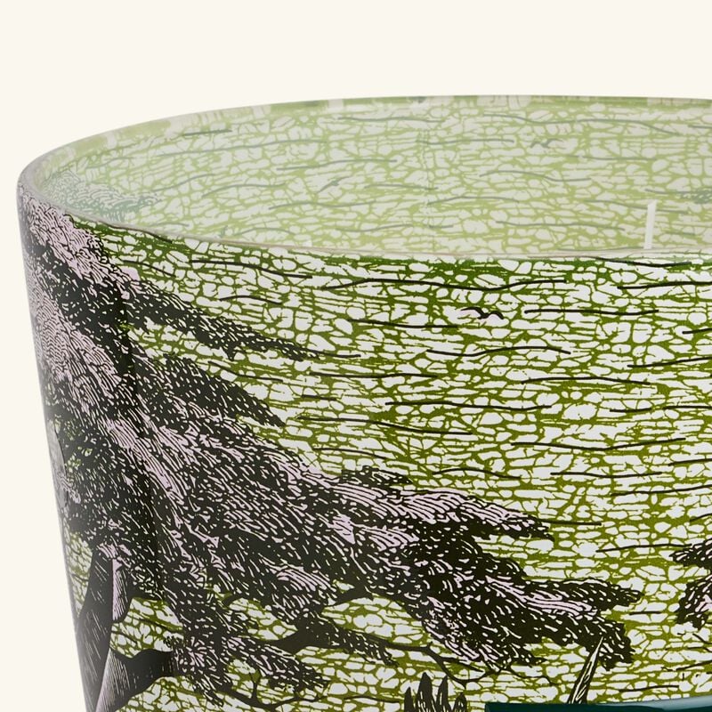 Sacred Trees Touba Candle Max 35 baobab collection sacred trees touba candle max 35