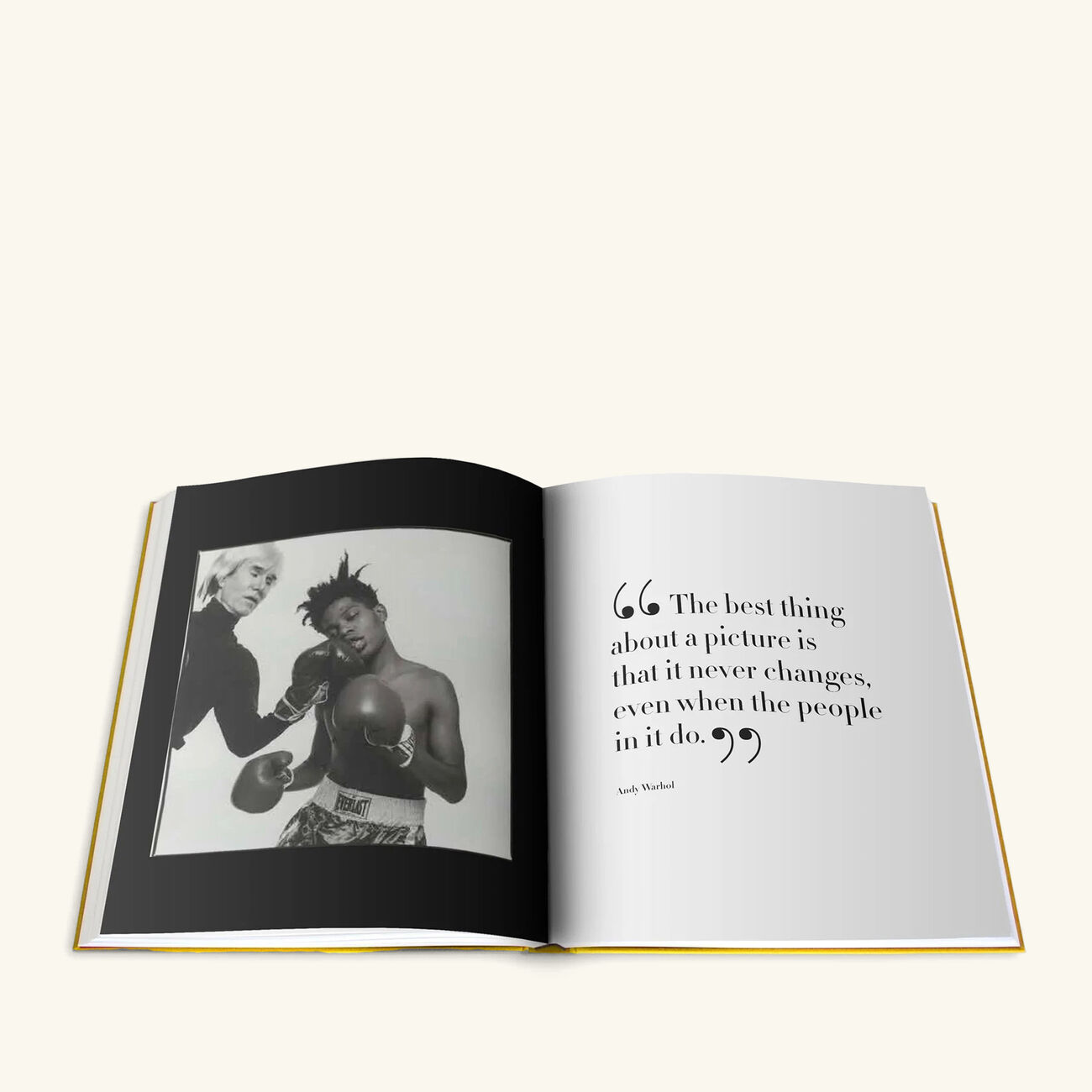 assouline andy warhol the impossible collection book 47x39cm