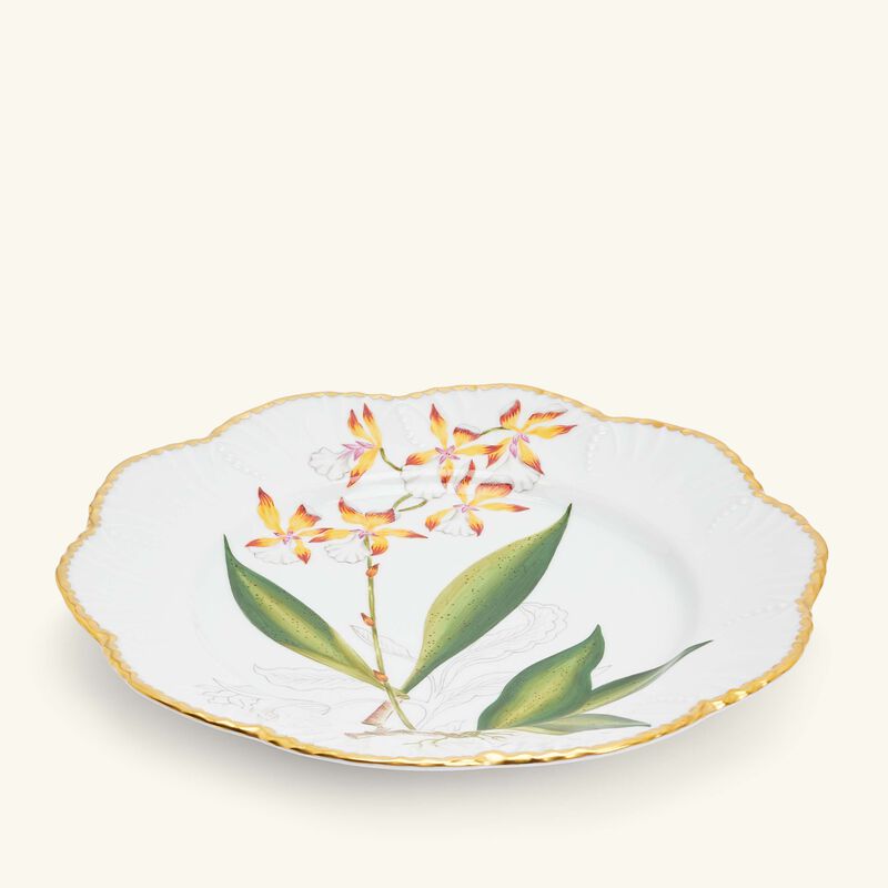 pinto paris histoires d orchidees dinner plate round white 26cm