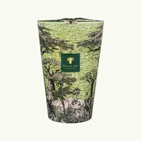 Sacred Trees Touba Candle Max 35 baobab collection sacred trees touba candle max 35