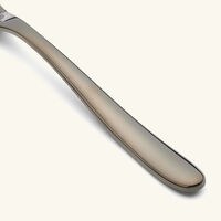 كريستوفل سكين السمك لام دو فيش أسود