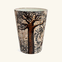Sacred Trees Morondo Candle Max 24 baobab collection sacred trees morondo candle max 24