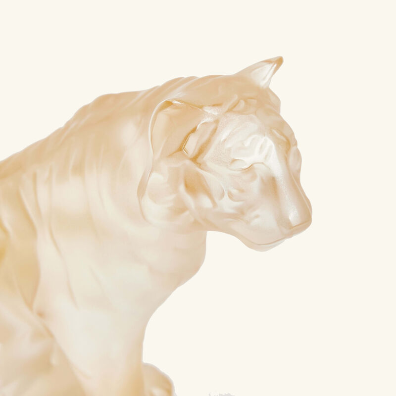 lalique sitting tiger sculpture small gold