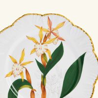 pinto paris histoires d orchidees dinner plate round yellow 26cm