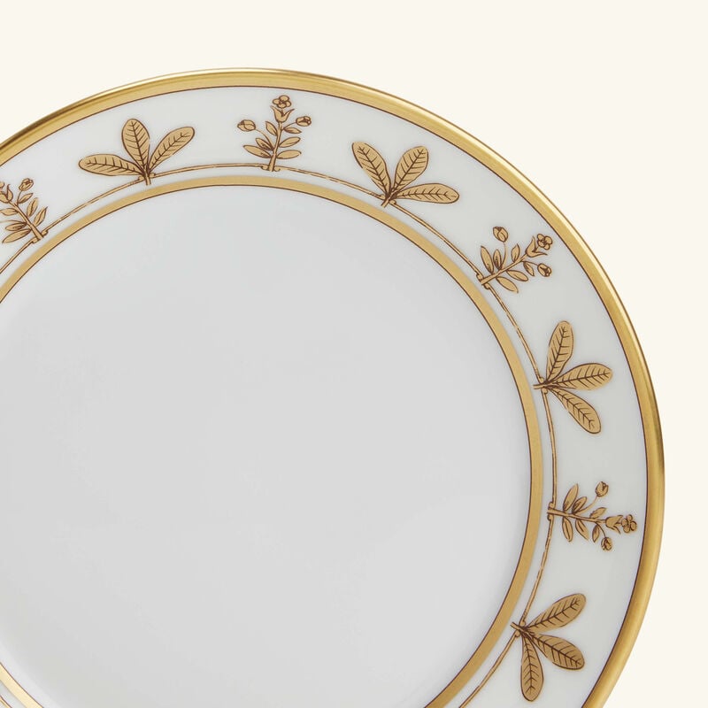 ginori 1735 voli re tea saucer gold