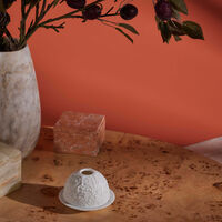 Roses Lithophanie bernardaud roses lithophanie