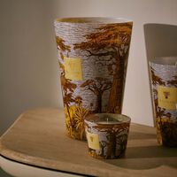 باوباب شمعة سيكرد تريز كوكودي ماكس 35