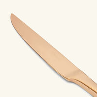 سكين الستيك لام دو كريستوفل وردي