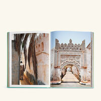 Saudi Arabia Red Sea, The Saudi Coast Book 33x25cm assouline saudi arabia red sea the saudi coast book 33x25cm