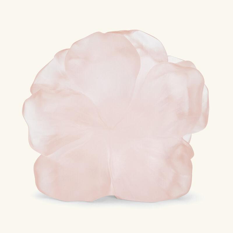 دوم منحوتة كاميليا فلاور صغيرة جدًا وردية