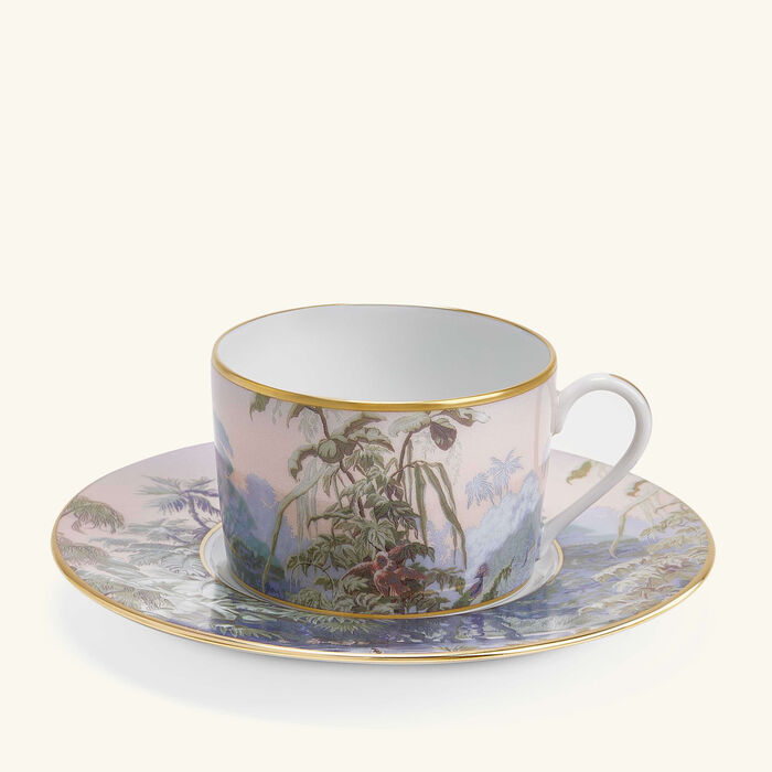 haviland le br sil tea cup and saucer set of 4