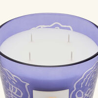baobab collection collectible roses dark parma candle max 16