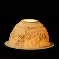 برناردو مصباح ليثوفاني دوجز