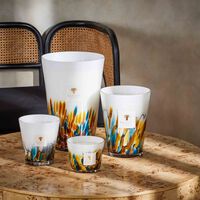 باوباب شمعة رينفورست مايومبي ماكسي ماكس