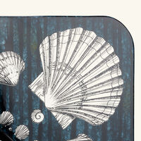 fornasetti giro di conchiglie bubbles mirror