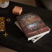 آسولين كتاب كنوز أوزبكستان الحيّة  احتفاءً بالإتقان الحرفي 33x25 سم