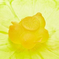 دوم قطعة الديكور سيتروس صفراء اللون   إصدار محدود