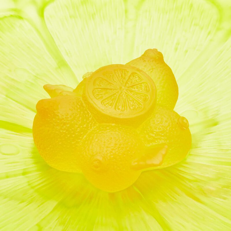 دوم قطعة الديكور سيتروس صفراء اللون   إصدار محدود