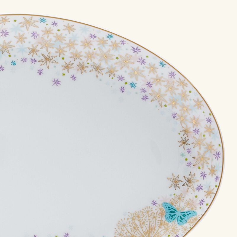 برناردو طبق الضيافة فيري مايكل كايو بيضاوي وردي 33 سم