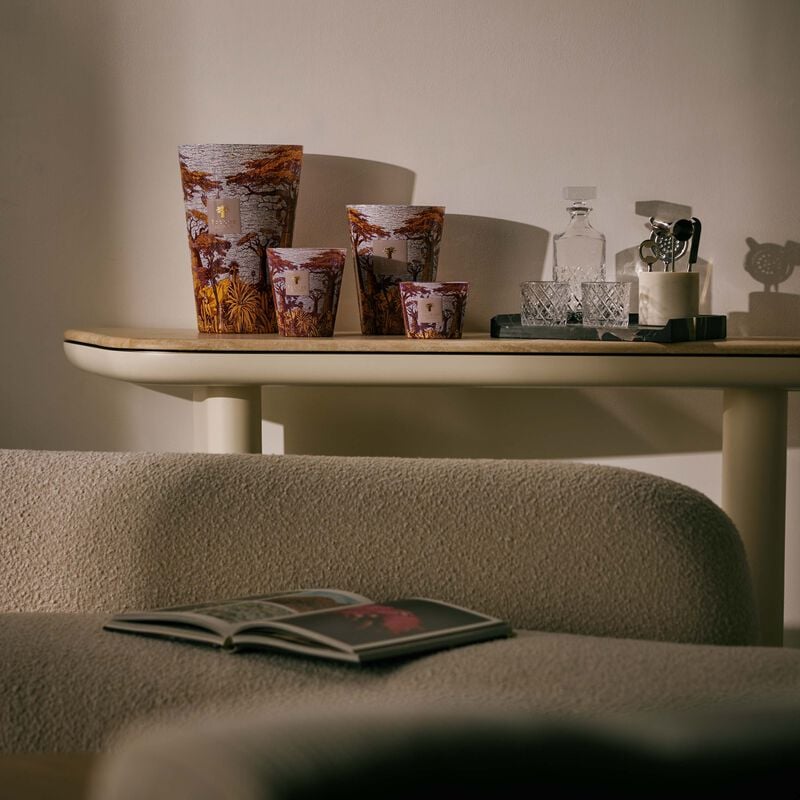 شمعة سيكرد تريز ماساسو ماكس 35 باوباب شمعة سيكرد تريز ماساسو ماكس 35