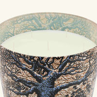 Sacred Trees Seguela Candle Maxi Max baobab collection sacred trees seguela candle maxi max