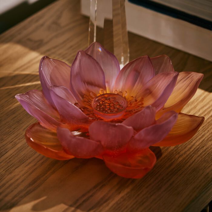 daum jardin de lotus decorative flower pink