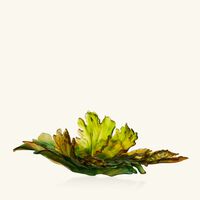 Borneo Magnum Centerpiece Green daum borneo magnum centerpiece green