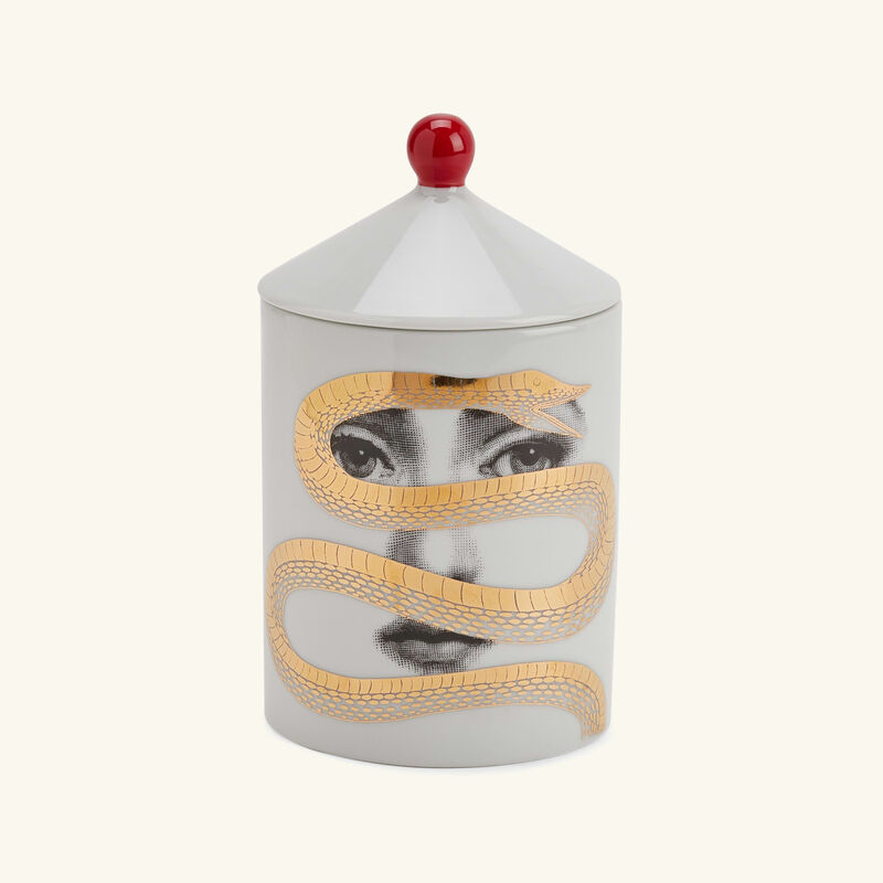 fornasetti frutto proibito candle 310g