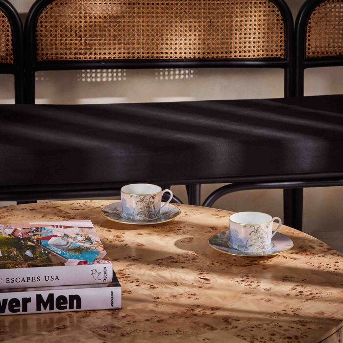 haviland le br sil tea cup and saucer set of 4