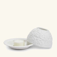 bernardaud les orchides lithophanie