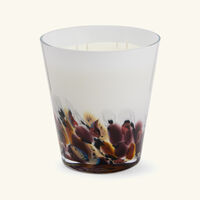 شمعة رينفورست تانجونغ ماكس 16 باوباب شمعة رينفورست تانجونغ ماكس 16