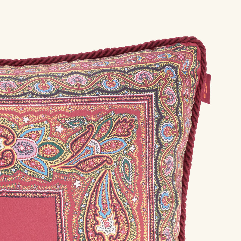 etro cachemire pillow