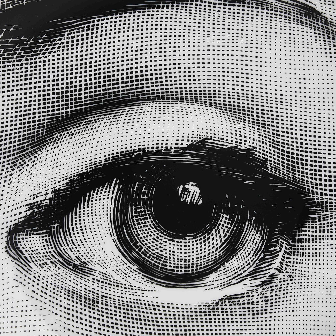 Tema e Variazioni no.248 Wall Plate fornasetti tema e variazioni no 248 wall plate