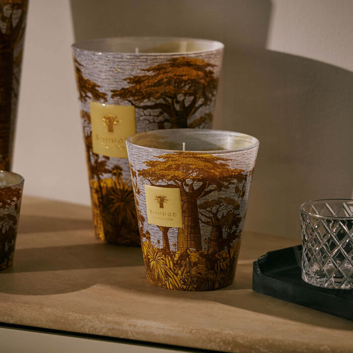 baobab collection sacred trees cocody candle max 10