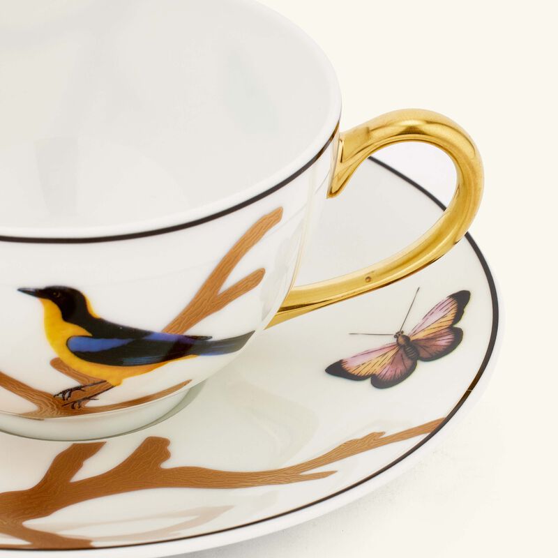 برناردو فنجان الشاي أو زوازو مع صحنه باللون الذهبي