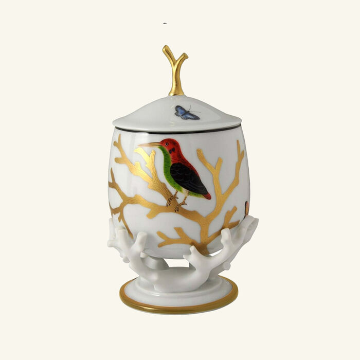 bernardaud aux oiseaux candy box gold