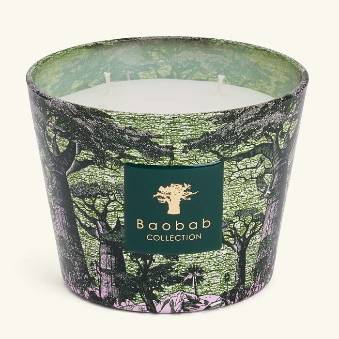 baobab collection sacred trees touba candle max 10