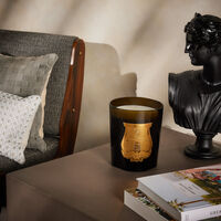 trudon abd el kader candle 2 8 kg