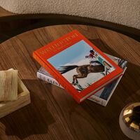 آسولين كتاب ويلنجتون عالم الخيول 10   13 سم