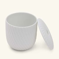 bernardaud twist diffuser