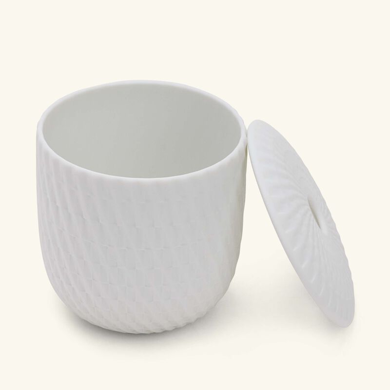 bernardaud twist diffuser