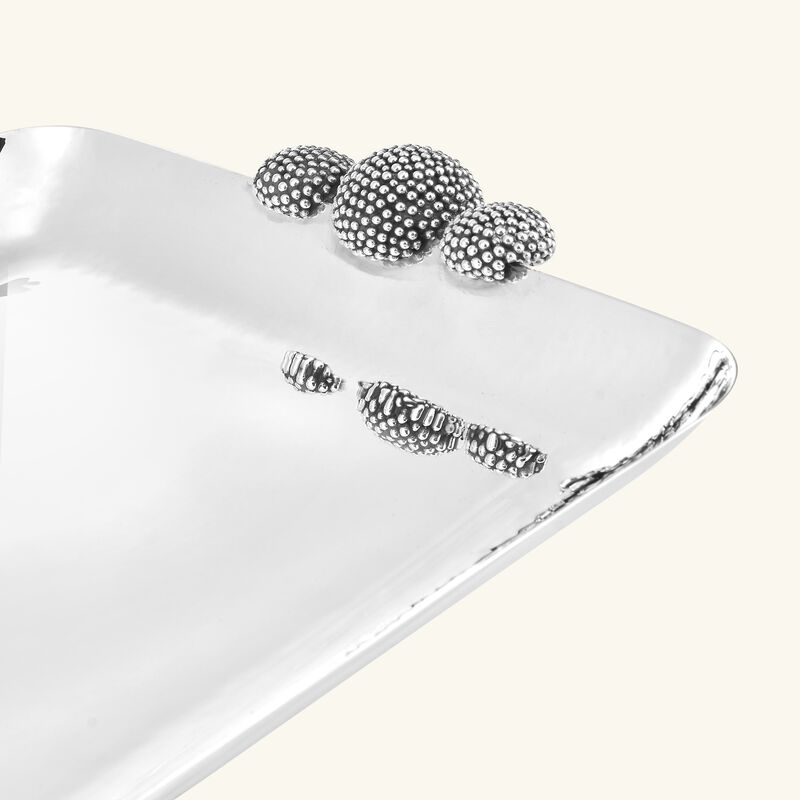 بوتشيلاتي صينية كافيار متوسطة الحجم 29 18 5سم