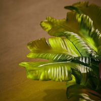 دوم قطعة الديكور المركزية توتي فروتي