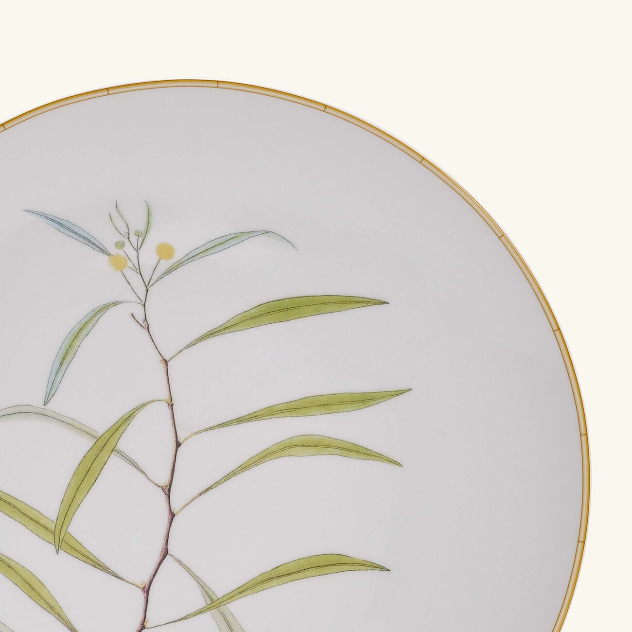 Jardin Indien Dinner Plate Round White 27cm bernardaud jardin indien dinner plate round white 27cm