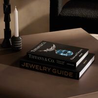 كتاب تيفاني أند كو: الرؤية والبراعة (إصدار آيكون) 19x28 سم آسولين كتاب تيفاني أند كو الرؤية والبراعة إصدار آيكون 19x28 سم