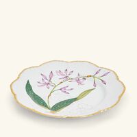 pinto paris histoires d orchidees dinner plate round green 26cm