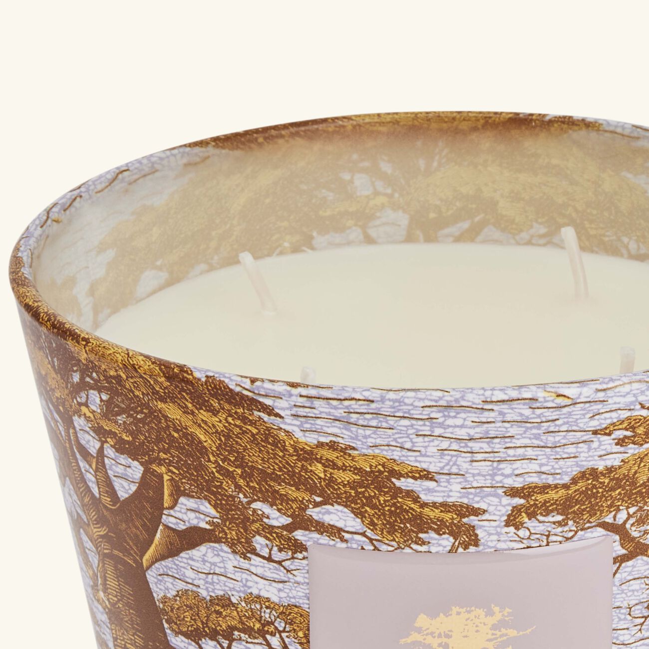Sacred Trees Boukani Candle Max 10 baobab collection sacred trees boukani candle max 10