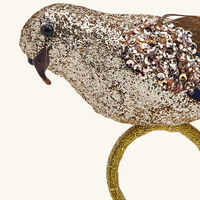 كيم سيبيرت حلقة مناديل المائدة جلام بيرد